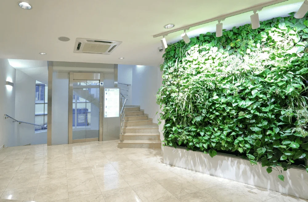 Клиника К+31 Петровские Ворота